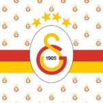 Galatasaray Desenli Baskılı Zebra Perde